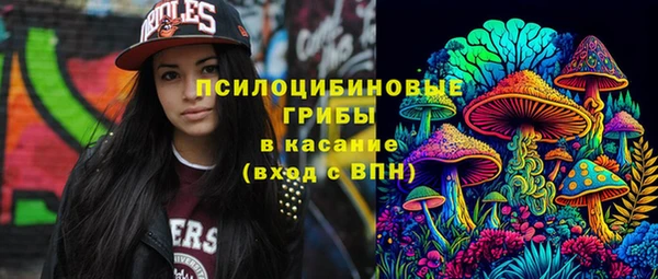 экстази Арсеньев