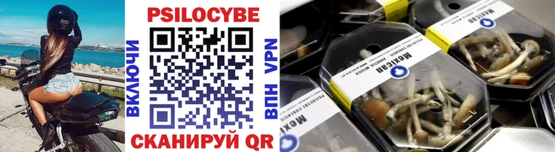 где найти наркотики  KRAKEN ссылка  Галлюциногенные грибы GOLDEN TEACHER  Новоаннинский 